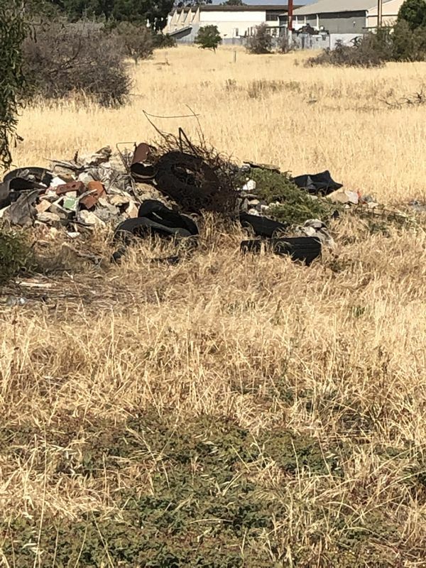 Rubbish on the Rosewater Loop